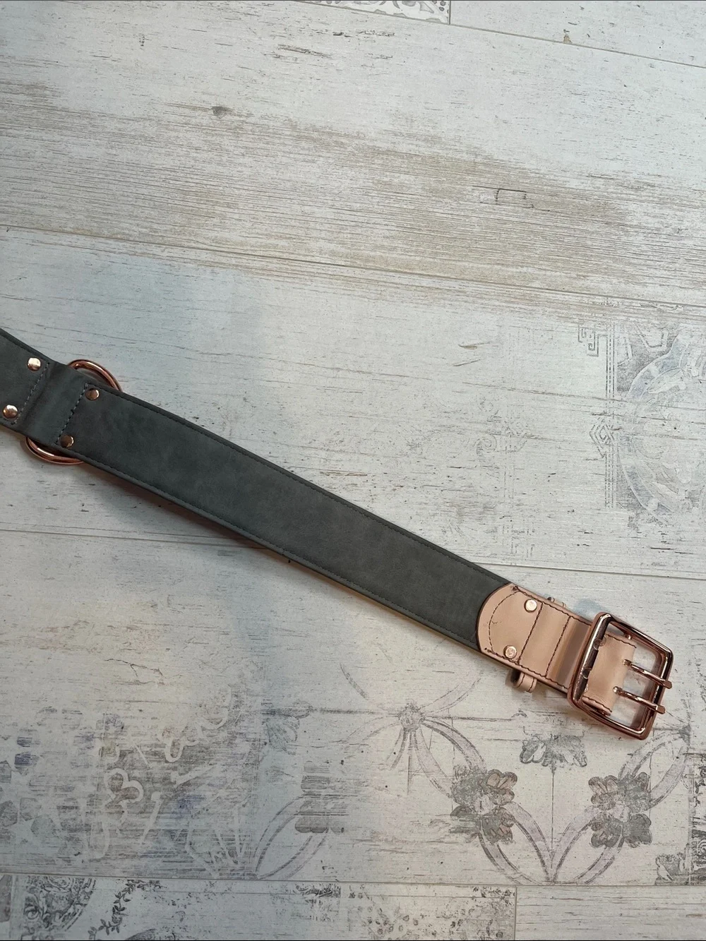 Petco Pink and Rose Gold Studded Dog Collar